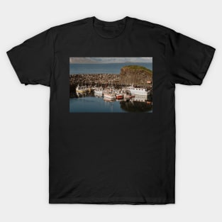 boats in the harbor of the port T-Shirt